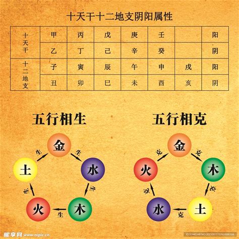 生肖五行相生相克